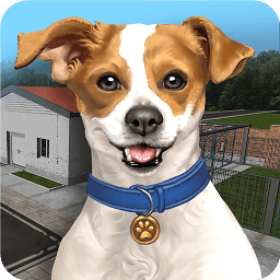 9170金莎游戏下载-9170金莎官方最新版(Animal Shelter Simulator)下载 v1.362 安卓版